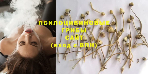 кокаин Белокуриха