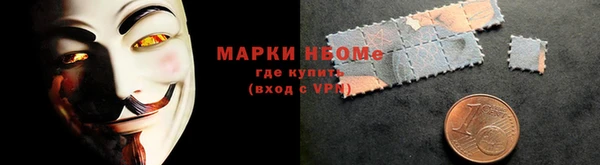 прущие грибы Богородицк