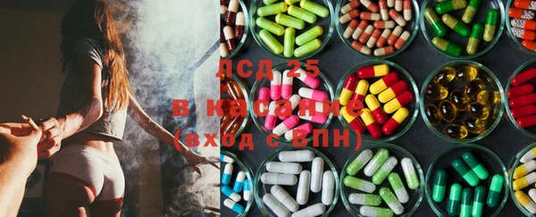 прущие грибы Богородицк